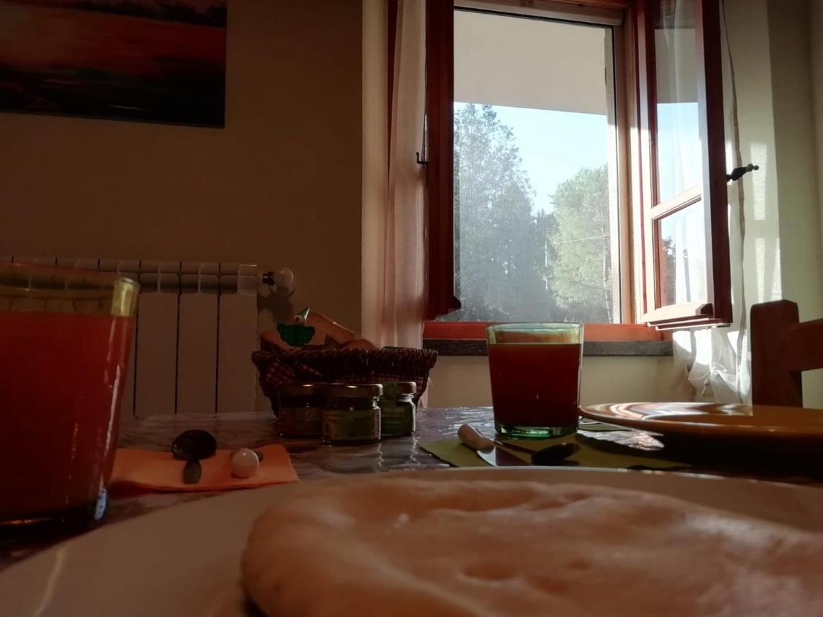 Su Pitiolu - Casa Vacanze Làconi エクステリア 写真