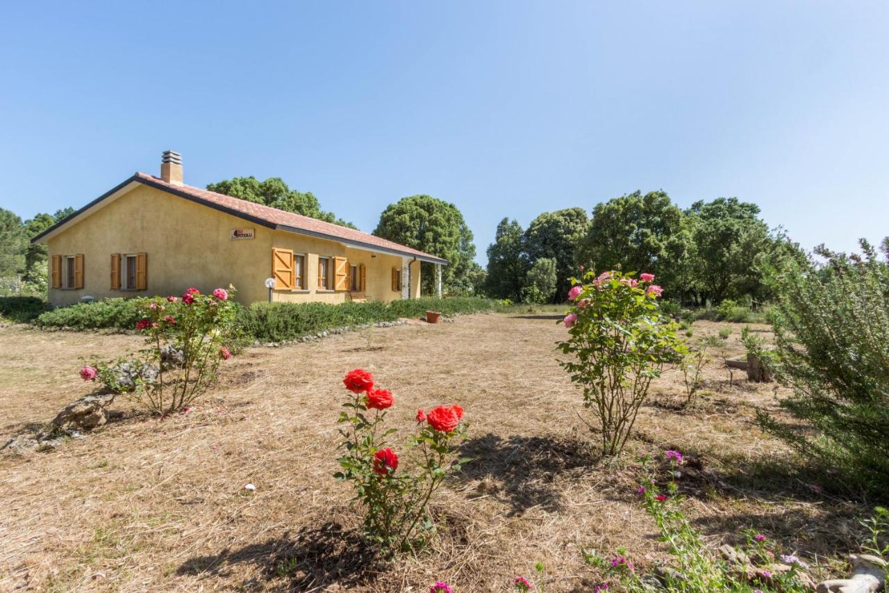 Su Pitiolu - Casa Vacanze Làconi エクステリア 写真